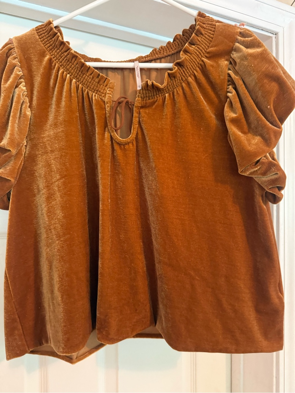Free People Velvet Puff-Sleeve Peasant Top - Rust